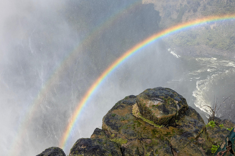 Victoria Falls: Historic Town Tour, Big Tree & Guided Walk