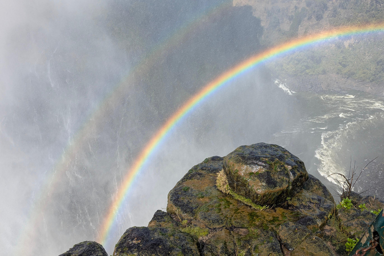 Victoria Falls: Historic Town Tour, Big Tree & Guided Walk