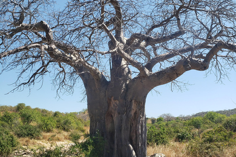 Arusza: 5-dniowe safari w Tanzanii w przystępnej cenie