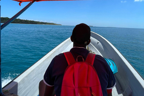 Delfintour und Schildkrötenschwimmen in KizimkaziDelfin Tour und Schildkröten schwimmen in Kizimkazi