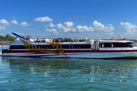 Bali: Speedboat Transfer to/from Gili MenoGili Meno to Padangbai Port