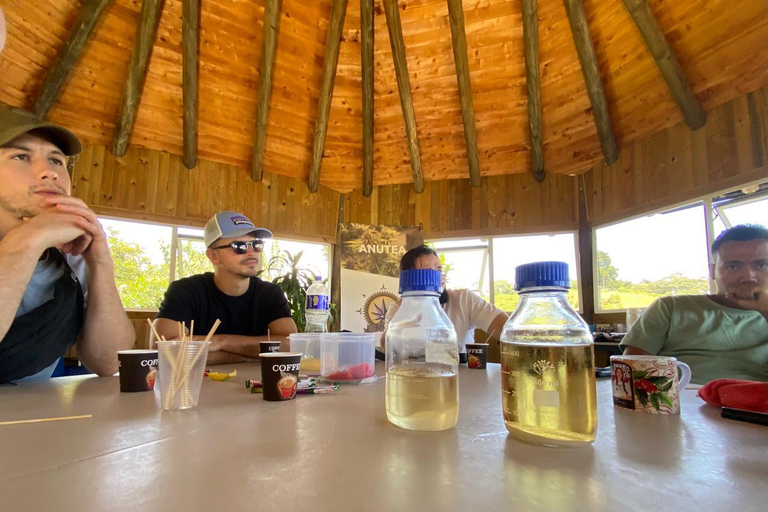 Private Medellín Cannabis Culture Tour with Lunch & Tasting