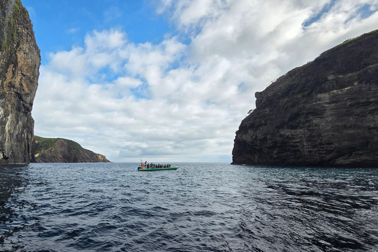 Trip to Vulcanic Corvo Island Including Island Sightseeing