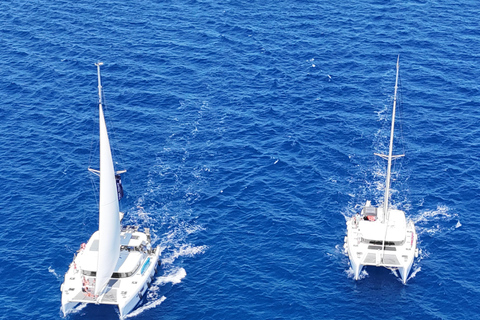 Limassol: Luxury Private Cruises with Catamaran Lagoon 40 Limassol: Luxury Private Full-Day Catamaran Cruise