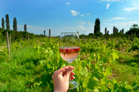 Group Tour: Hovhannavank, Voskevaz Winery & Tegher monastery