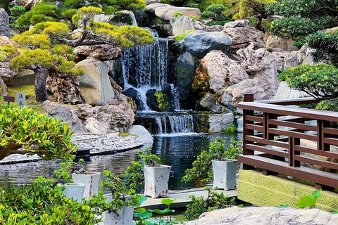 Hong Kong Heritage Highlights Tour: Peak Tram & Star Ferry