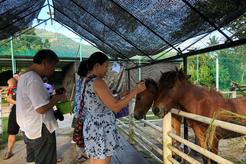 Penang Village Fun: Congkak Game, Local Treat & Petting Zoo