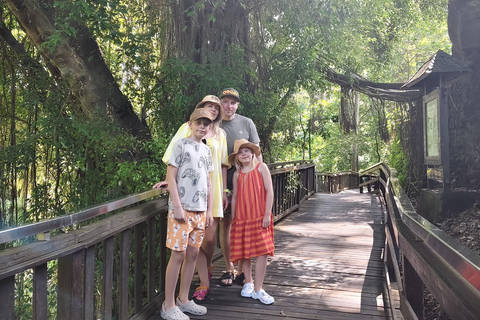 乌布猴林、梯田、秋千、寺庙和瀑布乌布猴林、水稻梯田、秋千、寺庙和瀑布