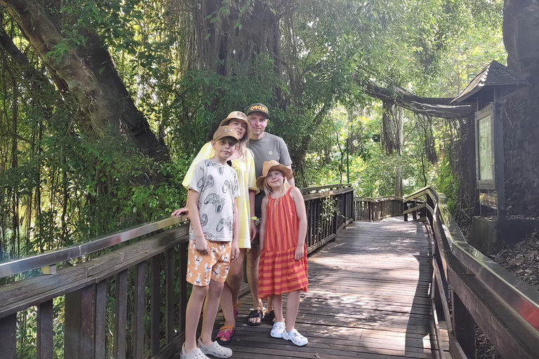 乌布猴林、梯田、秋千、寺庙和瀑布乌布猴林、水稻梯田、秋千、寺庙和瀑布