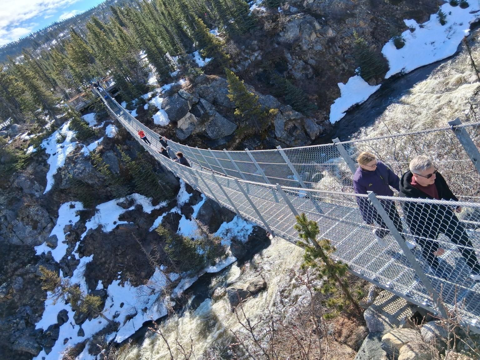 Skagway: Yukon-Hängebrücke & Panorama-Tour zum White Pass