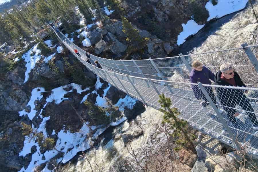 Skagway: Yukon-Hängebrücke & Panorama-Tour zum White Pass. Foto: GetYourGuide