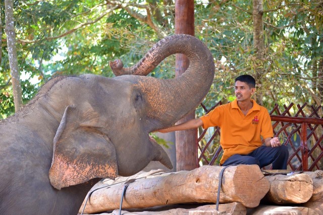 Visit From DelhiSunrise Taj Mahal Tour with Elephant conservation in Agra, Uttar Pradesh, India