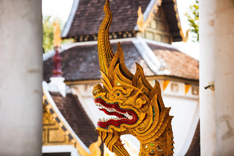 Chiang Mai : Visite nocturne des temples et de la cuisine de rue en tuk tuk