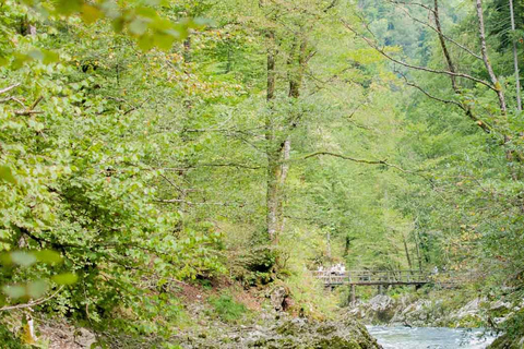 Sri Lanka: Kitulgala-dagtour met luchthaventransferSri Lanka: Kitulgala-dagtour met transfer vanaf de luchthaven