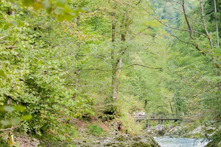 Sri Lanka: Kitulgala-dagtour met luchthaventransferSri Lanka: Kitulgala-dagtour met transfer vanaf de luchthaven