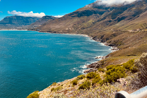 Cape of Good Hope and Penguins Full-Day Private Tour Private tour: Cape of Good Hope and Penguins Full-Day Tour