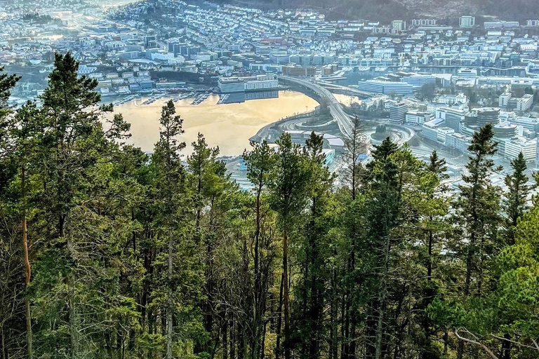 Visite à pied de Bergen (privée)