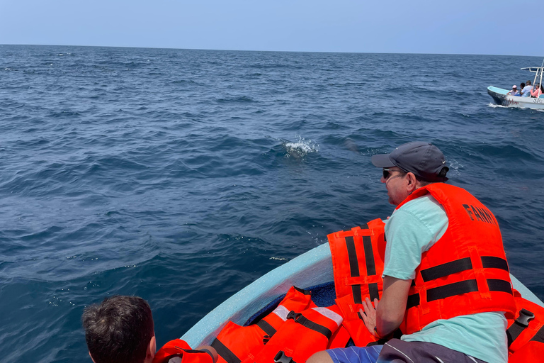 Puerto Escondido: Bootstour zu Delfinen und MeerestierenPrivate Tour