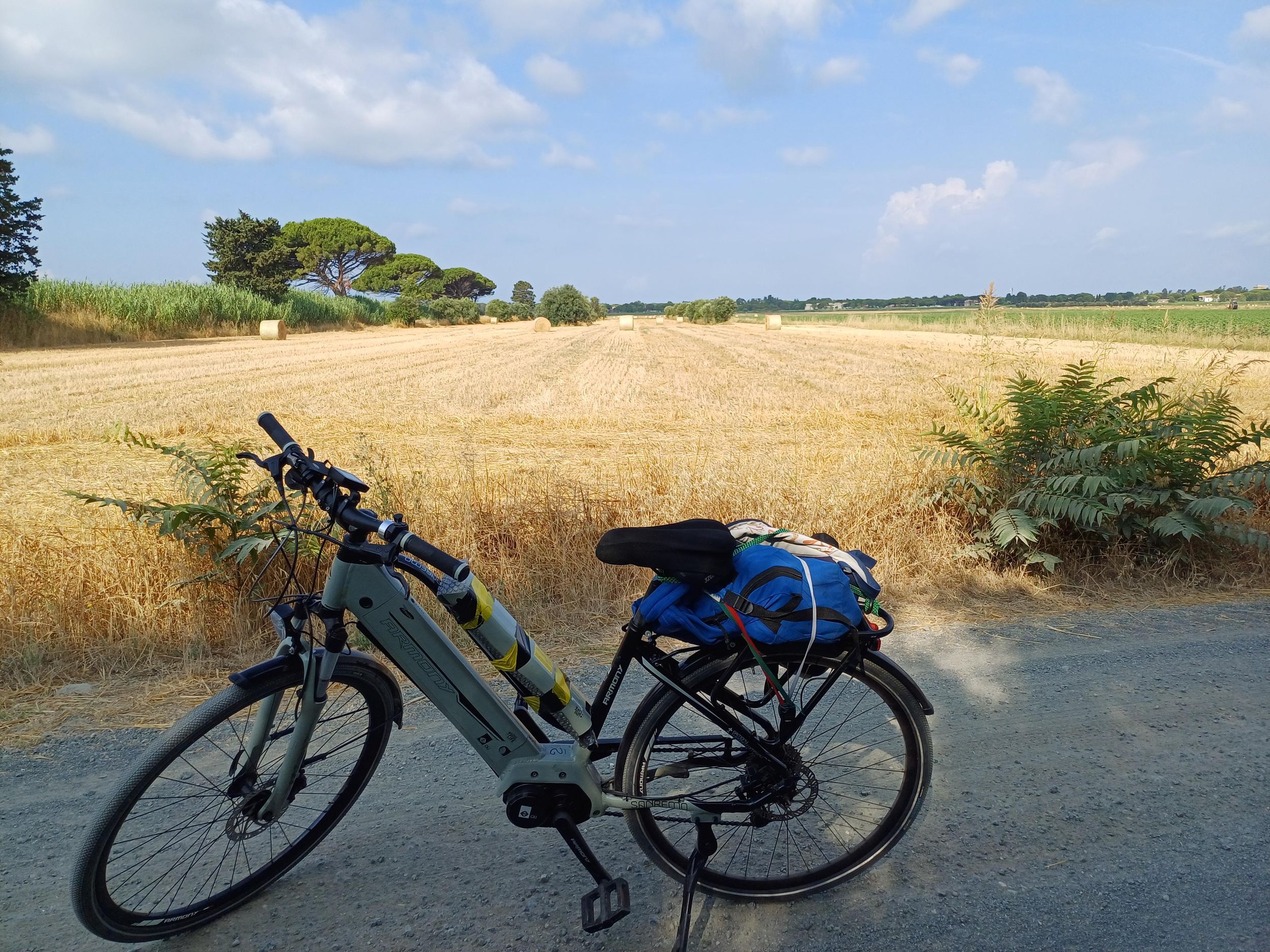 Bolgheri: E-Bike-Tour im Pinienwald von Bibbona, dann Bolgheri und Castagneto C.