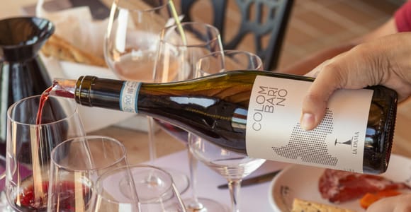 VERONA: WINE TASTING FOR THOSE WHO LOVE COMPARISONS