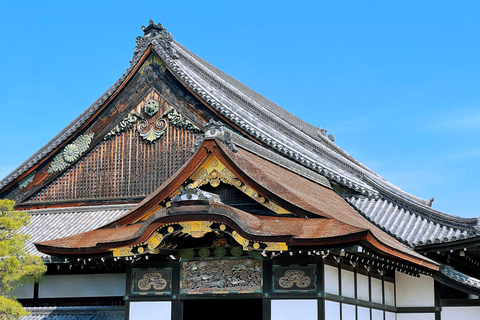 Kyoto: Nijo-jo Castle Samurai & Shogun Private In-Depth Tour Route 1: Essential In-Depth Experience (1 hour)