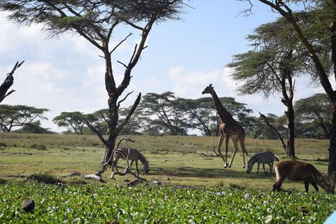 1-Day Crescent Island Walking Safari and Hell's Gate Biking Crescent Island Walking Safari (from Nairobi)