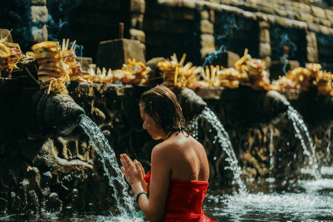 Bali: Serenity Sacred Tirta Empul, Rice Fields & Coffee