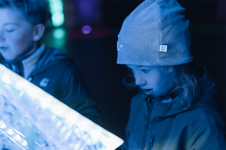 Warsaw: Garden of Lights Entry Ticket Warsaw: Garden of Lights Entry Ticket - Weekends