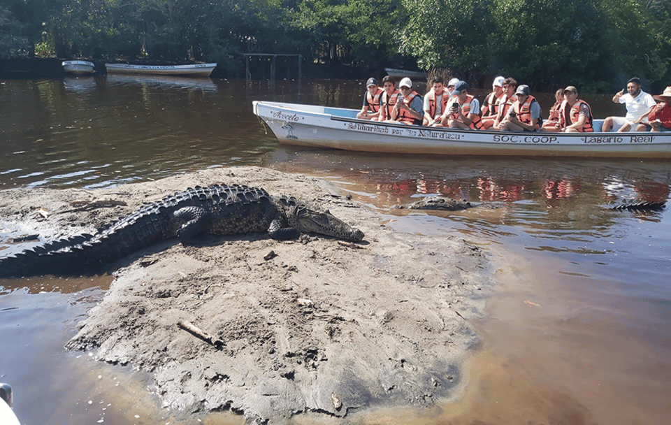 De Huatulco, Crocodiles et Turtles Eco Tour - Hizvo