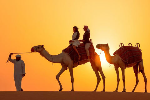 Doha: Moonlight Desert Safari with 4x4 & Camel Experience