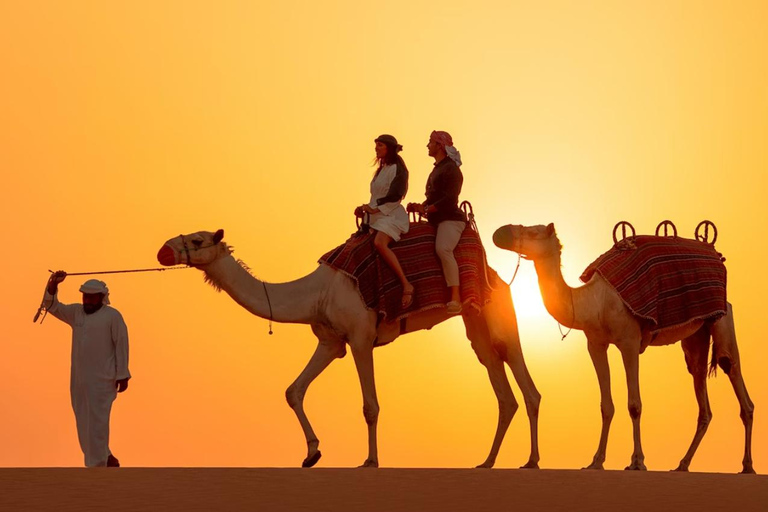 Doha: Moonlight Desert Safari with 4x4 & Camel Experience