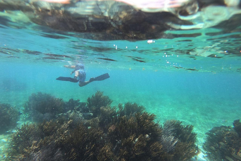 Puerto Morelos: Snorkel in Coral Reef with transportation Tour from Tulum