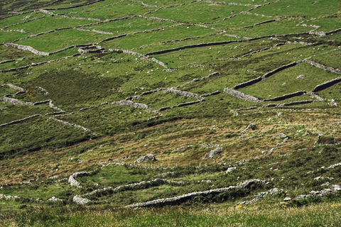 Iveragh Peninsula: Ring of Kerry Photo and Sightseeing Tour