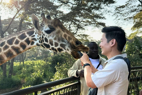 Nairobi: Giraffe Center Tour with Optional Bead Factory