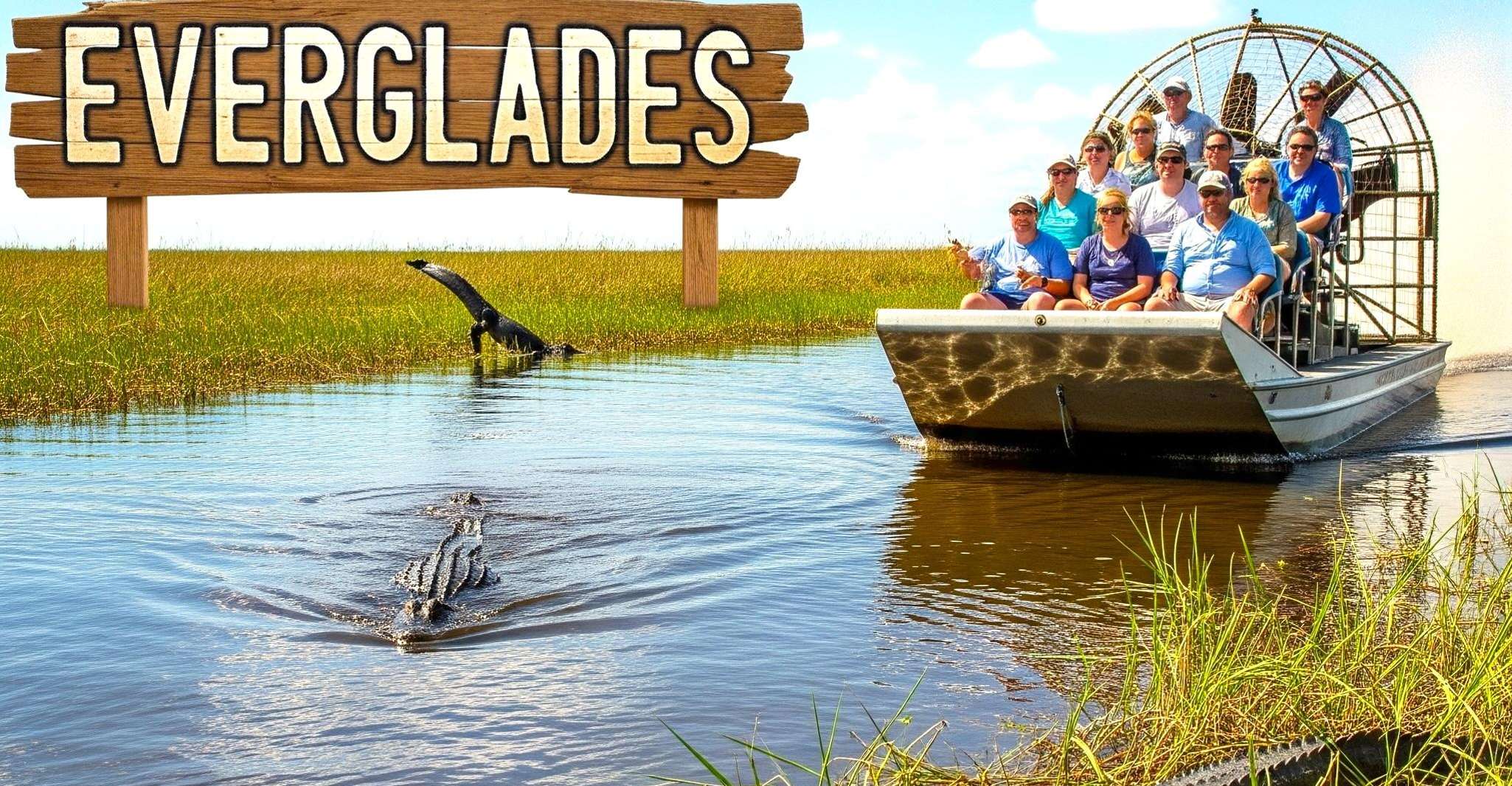 From Miami: Everglades Airboat Gator Spotting Tour photo 5