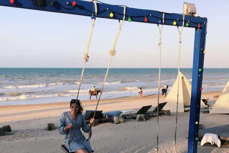 Gammarth & Sidi Bou Said: Sea & Colors Private Tour Pick Up From Tunis