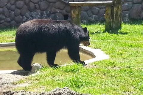 Quito: Zoo Tour with Transportation and Admission or Ticket
