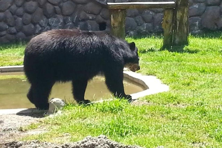 Quito: Zoo Tour with Transportation and Admission or Ticket