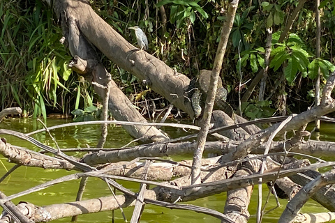 Aventura nas cascatas de Tengeru e escapadela de canoagem no Lago Duluti