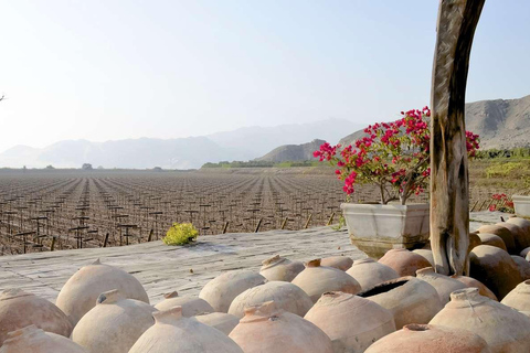 Ica: Pisco and Wine Tasting Tour