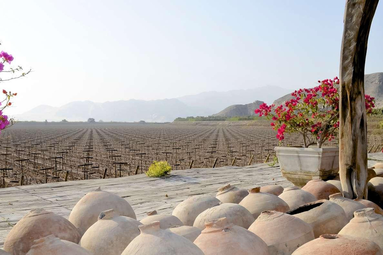 Ica: Pisco and Wine Tasting Tour