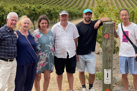 Clare Valley Uncorked: Full-Day Wine Adventure