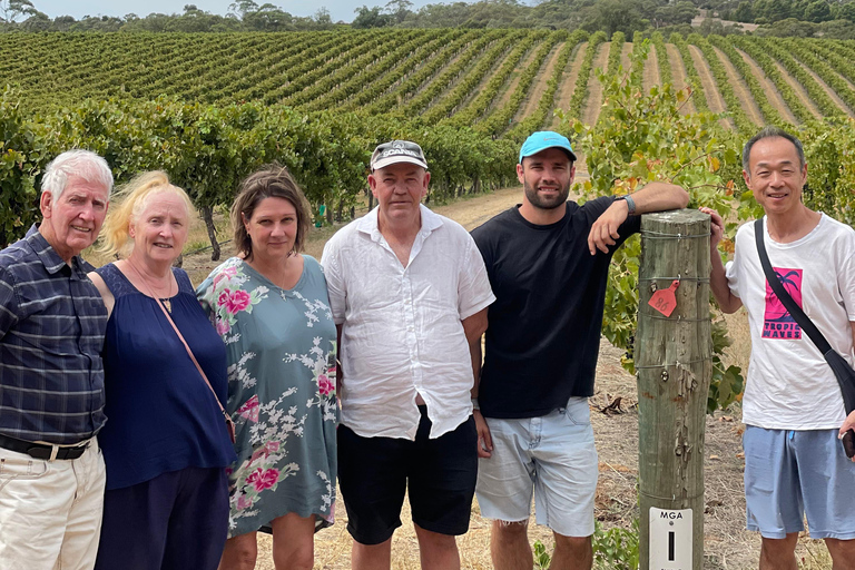 Clare Valley Uncorked: Full-Day Wine Adventure
