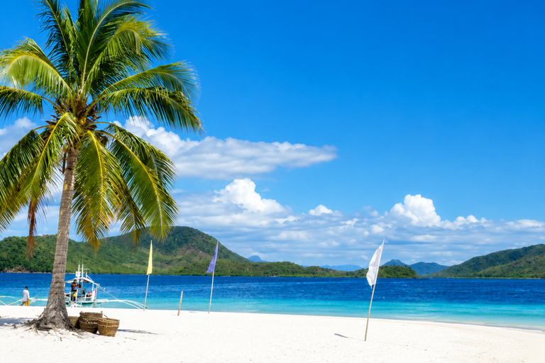 Coron: WWII Shipwrecks & Pass Island Snorkeling Tour