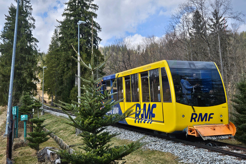 Zakopane: Tatra Mountains Tour with Tank Paintball & Cheese