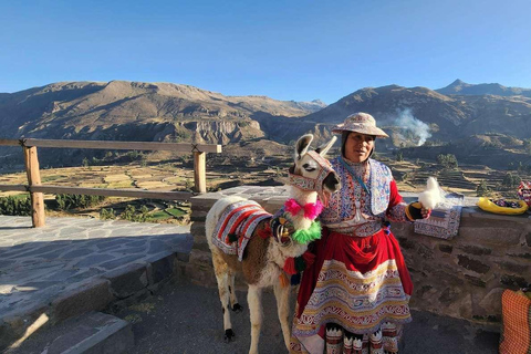 Escursione al Canyon del Colca con colazione e pranzo