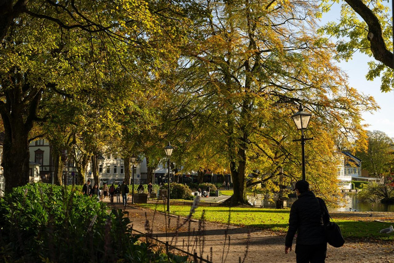 Private Stavanger city Highlights Driving tour