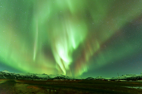 Depuis Reykjavik : aurores boréales en petit groupe