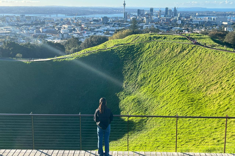 Tour di mezza giornata dei luoghi più interessanti della città di Auckland (tour per piccoli gruppi)