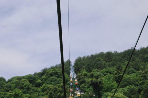 Chongqing: tour del monte Jinyun, del museo e della vecchia stradaGuida per altre lingue
